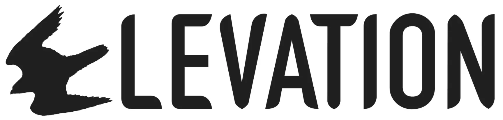 Elevation Disc Golf Logo
