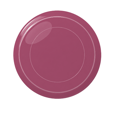 Innova Champion Discs Destroyer
