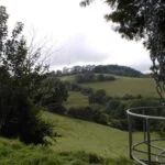 Disc Golf Course