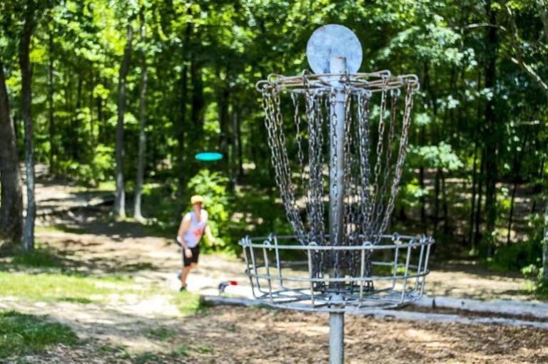 Disc Golf Disc Flight