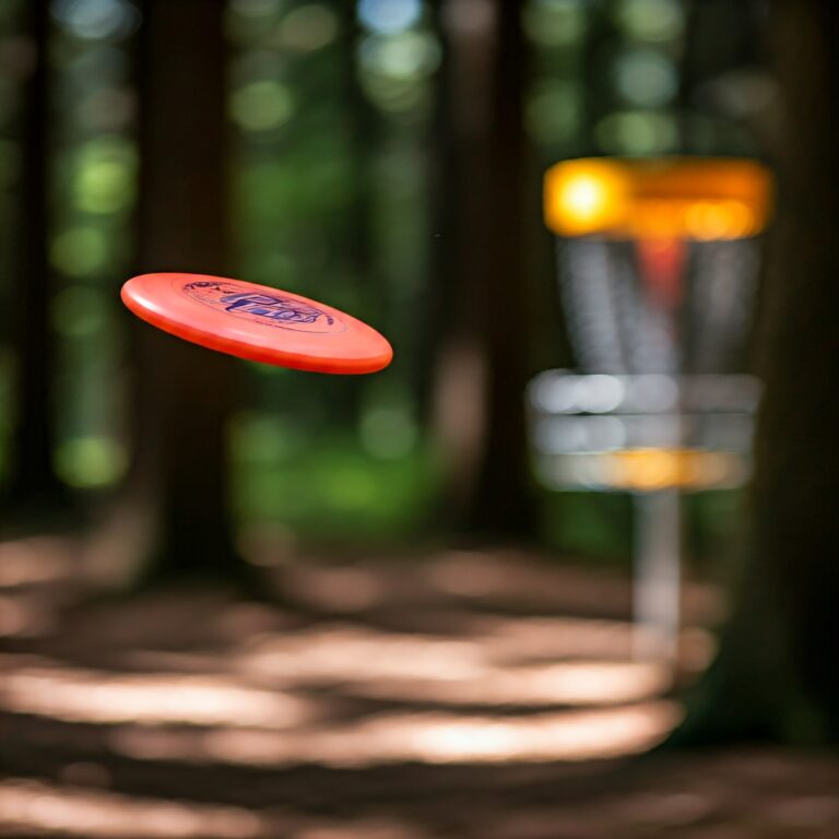 Disc Golf Woods