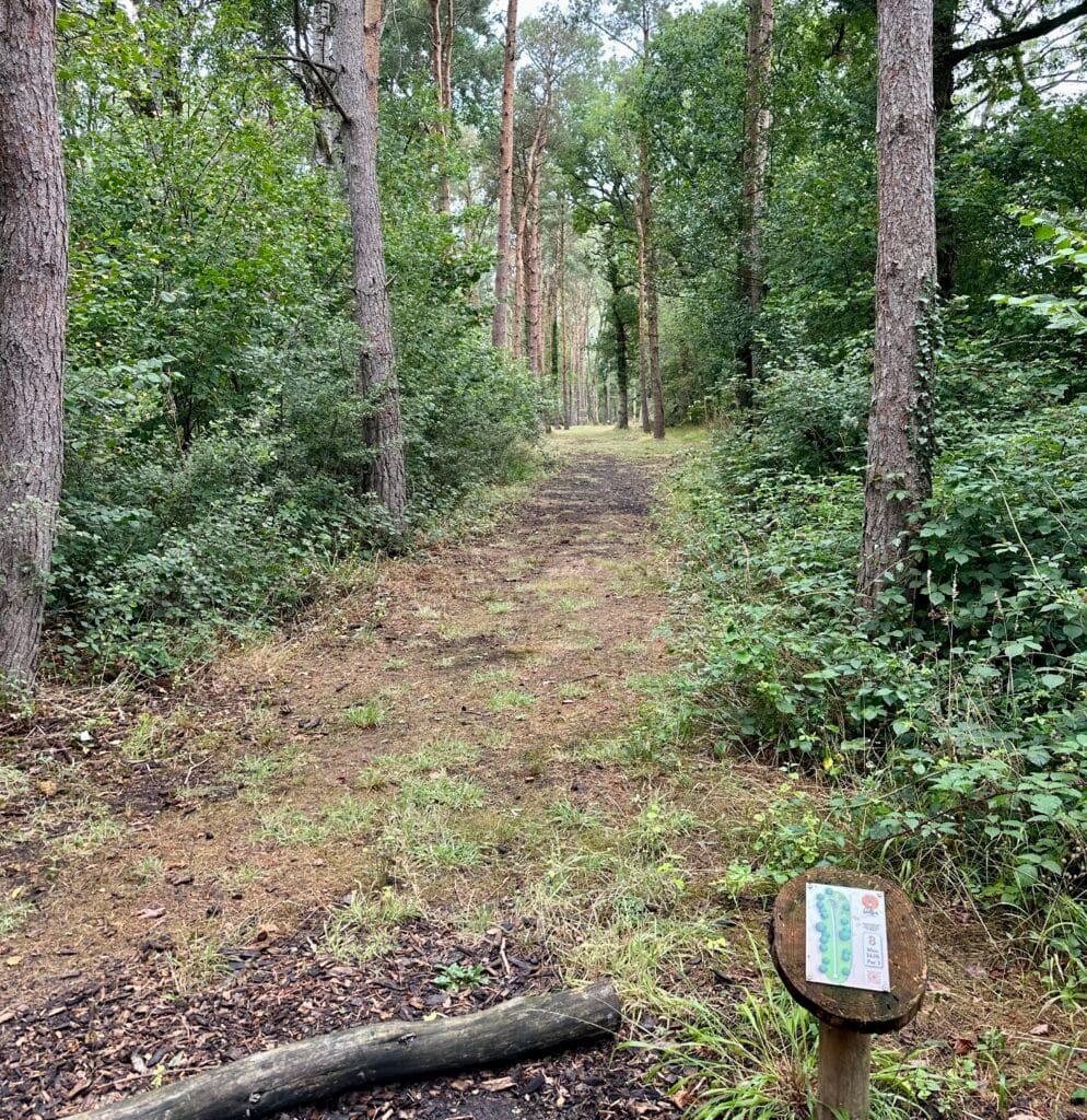 Gilly’s Disc Golf Stratford upon Avon